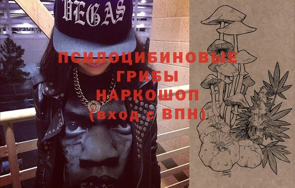 первитин Алексин