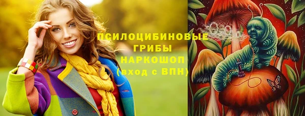гидра Алзамай