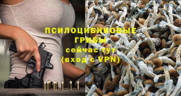 синтетический гашиш Алексеевка