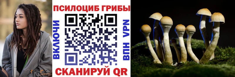 Псилоцибиновые грибы мицелий мориарти Telegram Сорочинск